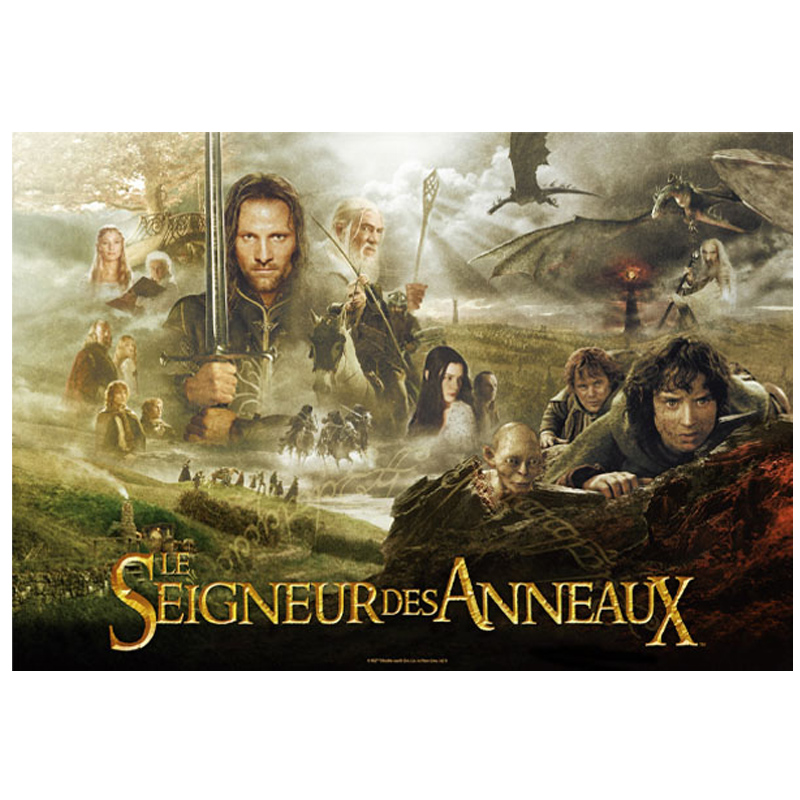 Le Seigneur Des Anneaux LOTR Puzzle Poster Français 1000pcs